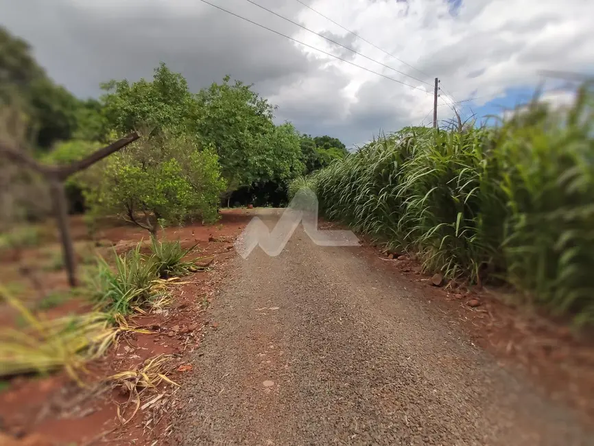 Foto 13 de Chácara à venda em Missal - PR
