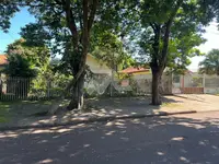 Imagem 7
