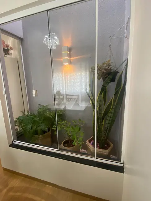 Casa com 2 quartos à venda, 79m2 em Toledo - PR - imagem 7 Foto 7 de Casa com 2 quartos à venda, 79m2 em Toledo - PR