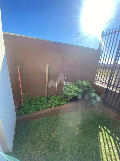 Foto 33 de Casa para alugar, 127m2 em Toledo - PR