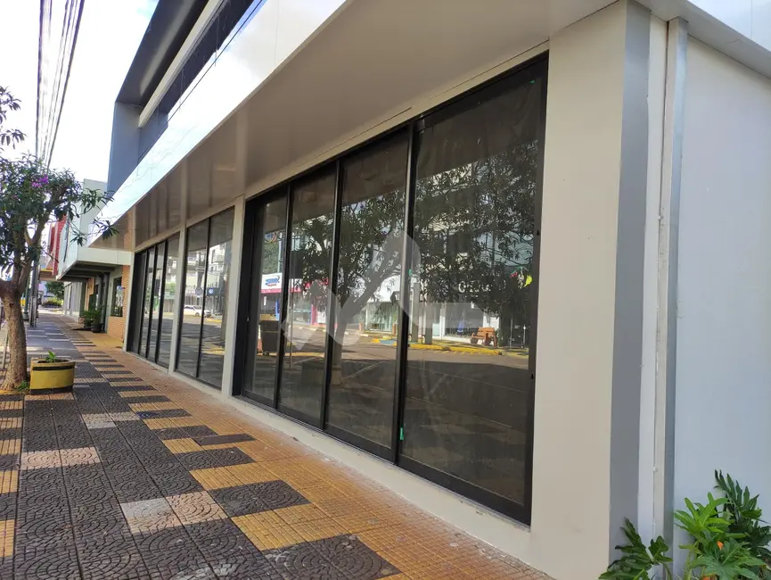 Sala Comercial para alugar, 1300m2 em Centro, Toledo - PR - imagem 5 Foto 5 de Sala Comercial para alugar, 1300m2 em Centro, Toledo - PR