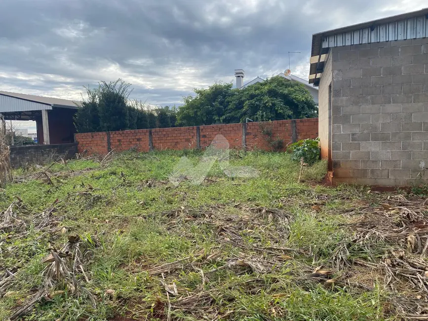 Terreno / Lote à venda, 800m2 em Toledo - PR - imagem 4 Foto 4 de Terreno / Lote à venda, 800m2 em Toledo - PR