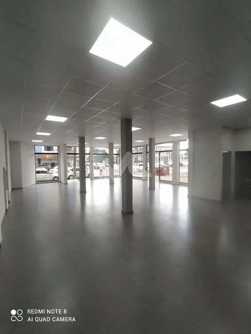 Foto 5 de Sala Comercial para alugar em Centro, Toledo - PR