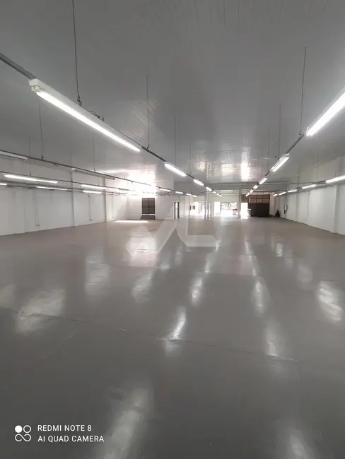 Sala Comercial para alugar, 992m2 em Centro, Toledo - PR - imagem 7 Foto 7 de Sala Comercial para alugar, 992m2 em Centro, Toledo - PR