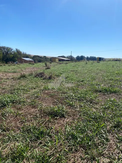 Foto 15 de Chácara à venda em Toledo - PR