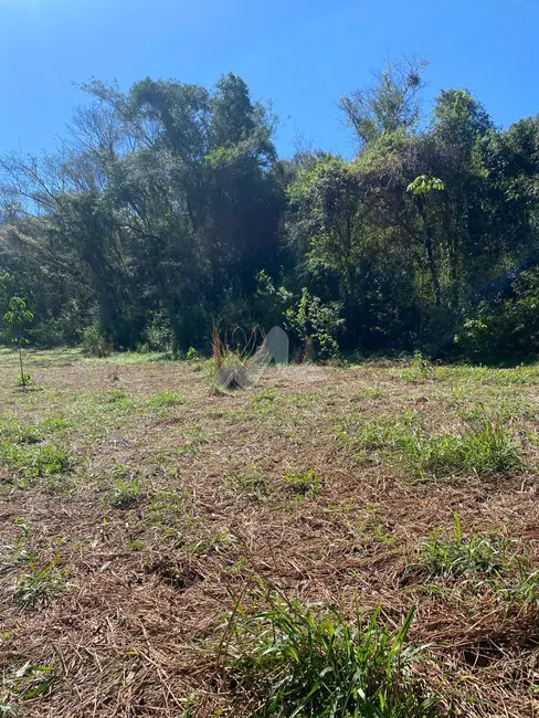 Foto 4 de Chácara à venda em Toledo - PR