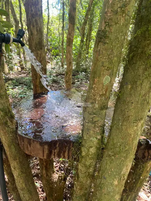 Foto 2 de Chácara à venda em Toledo - PR