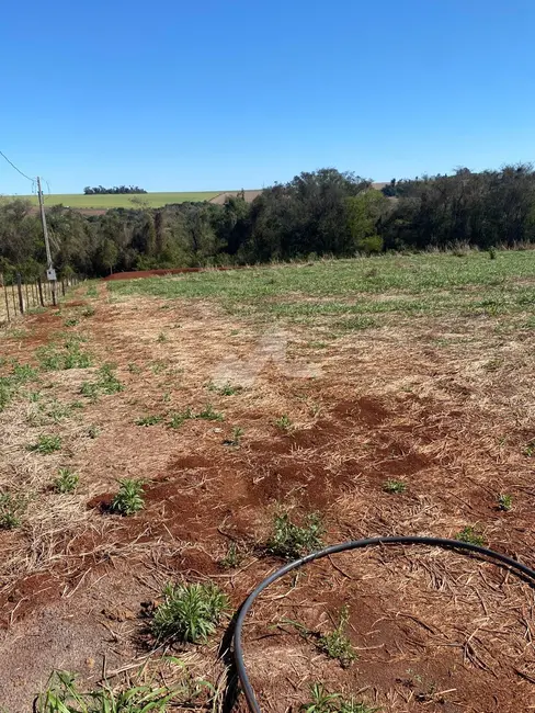 Foto 17 de Chácara à venda em Toledo - PR