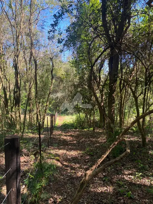 Foto 8 de Chácara à venda em Toledo - PR