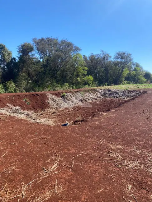 Foto 12 de Chácara à venda em Toledo - PR
