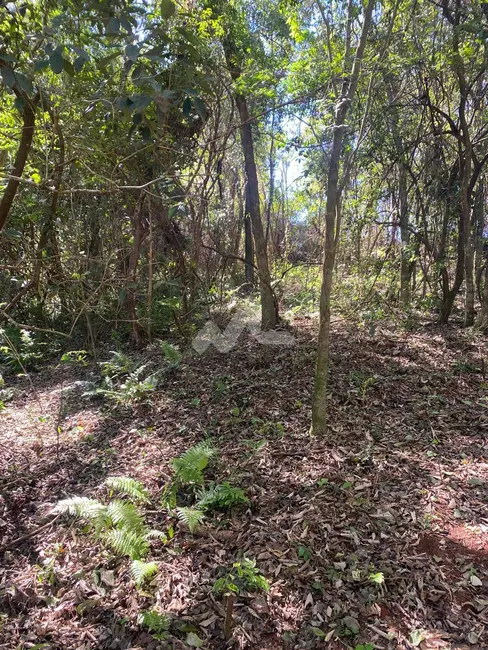 Foto 6 de Chácara à venda em Toledo - PR