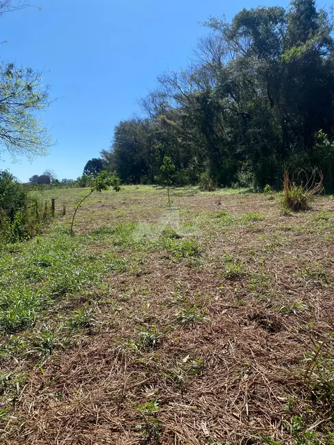 Foto 3 de Chácara à venda em Toledo - PR