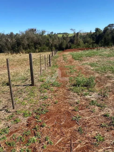 Foto 16 de Chácara à venda em Toledo - PR