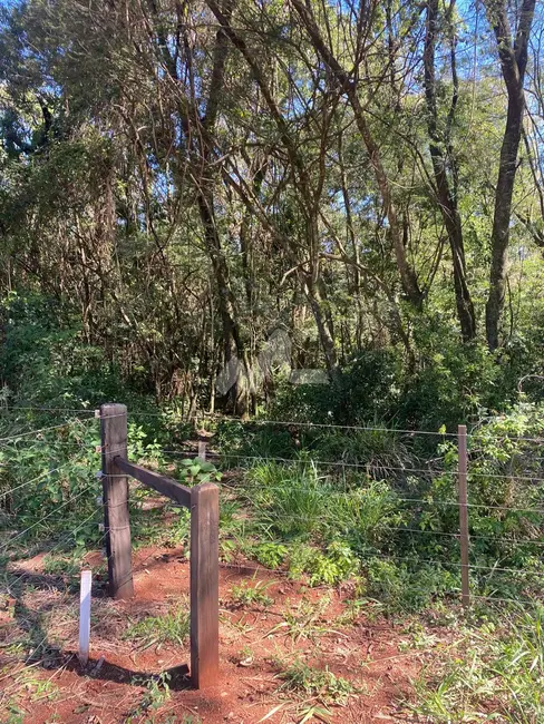 Foto 5 de Chácara à venda em Toledo - PR