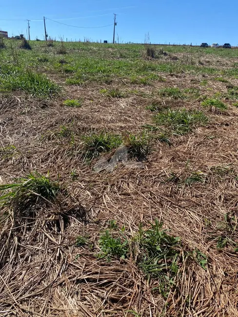 Foto 14 de Chácara à venda em Toledo - PR