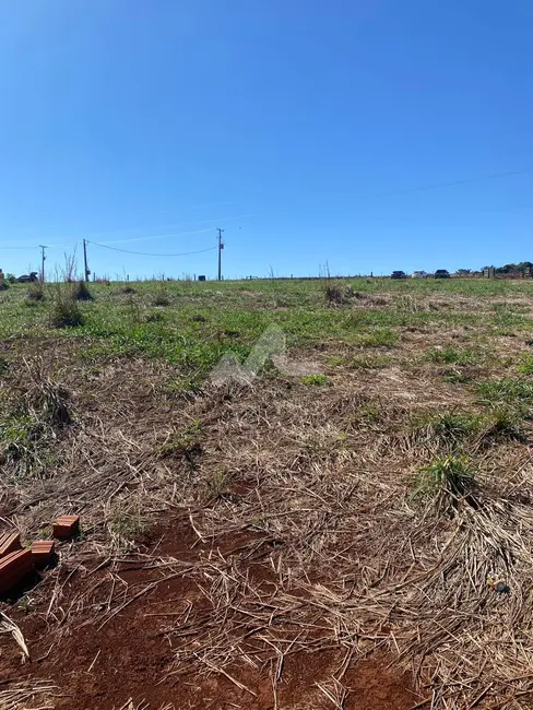 Foto 11 de Chácara à venda em Toledo - PR