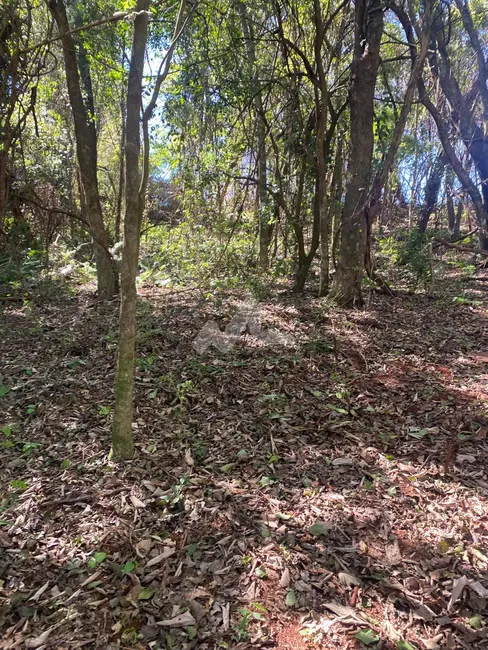 Foto 7 de Chácara à venda em Toledo - PR