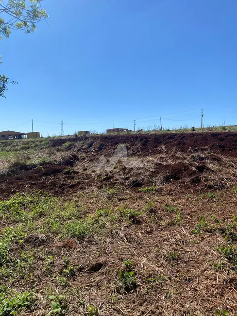 Foto 9 de Chácara à venda em Toledo - PR