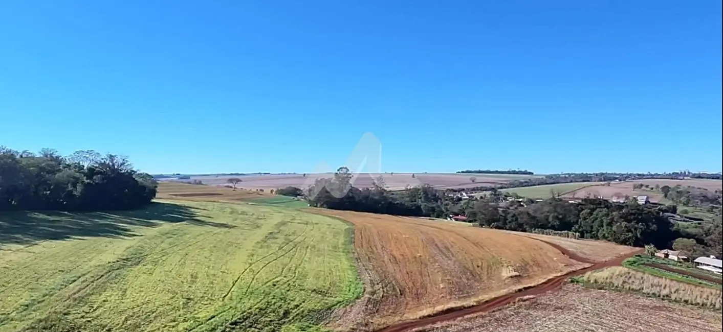 Chácara à venda, 63920m2 em Toledo - PR - imagem 1 Foto 1 de Chácara à venda, 63920m2 em Toledo - PR