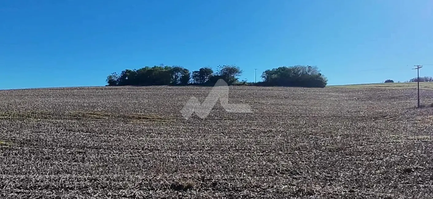 Chácara à venda, 63920m2 em Toledo - PR - imagem 3 Foto 3 de Chácara à venda, 63920m2 em Toledo - PR