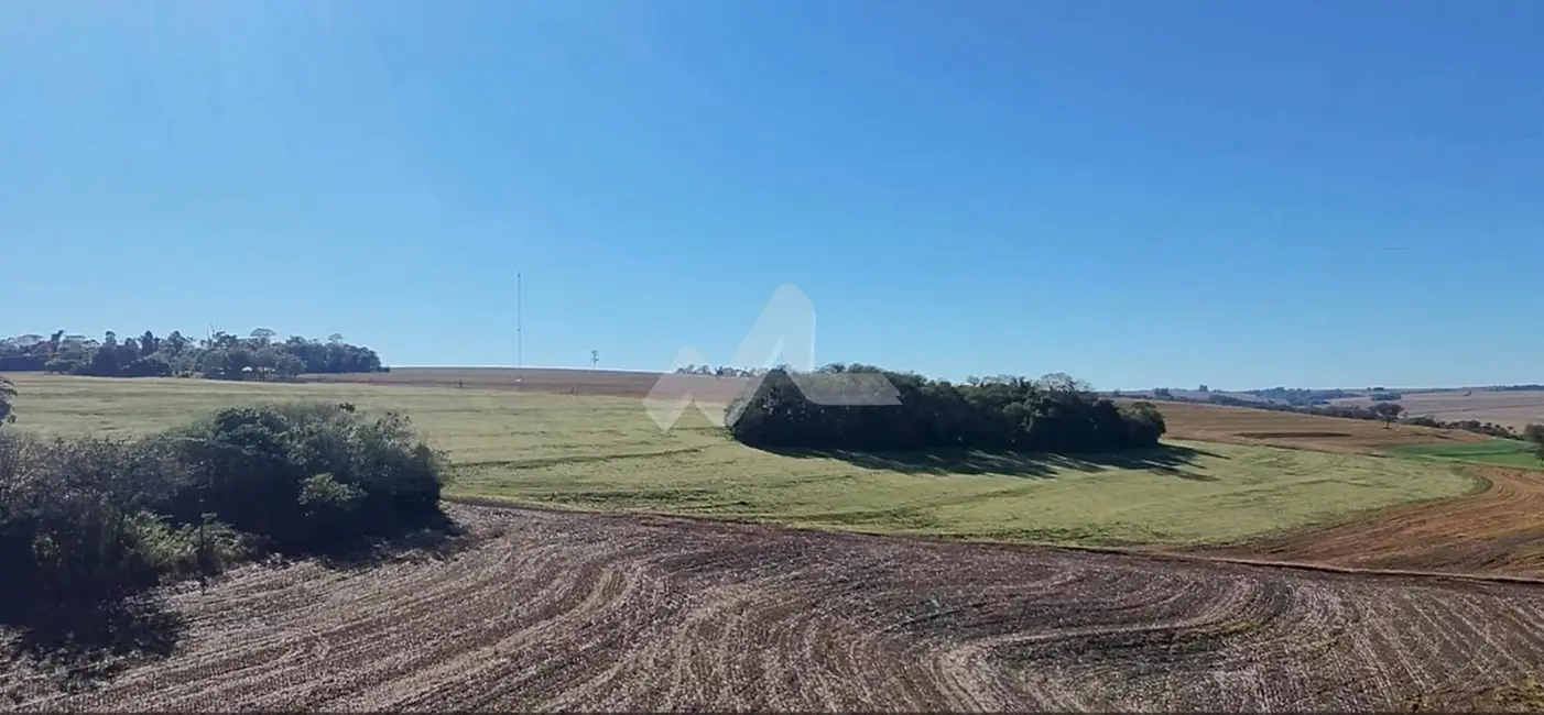 Chácara à venda, 63920m2 em Toledo - PR - imagem 5 Foto 5 de Chácara à venda, 63920m2 em Toledo - PR