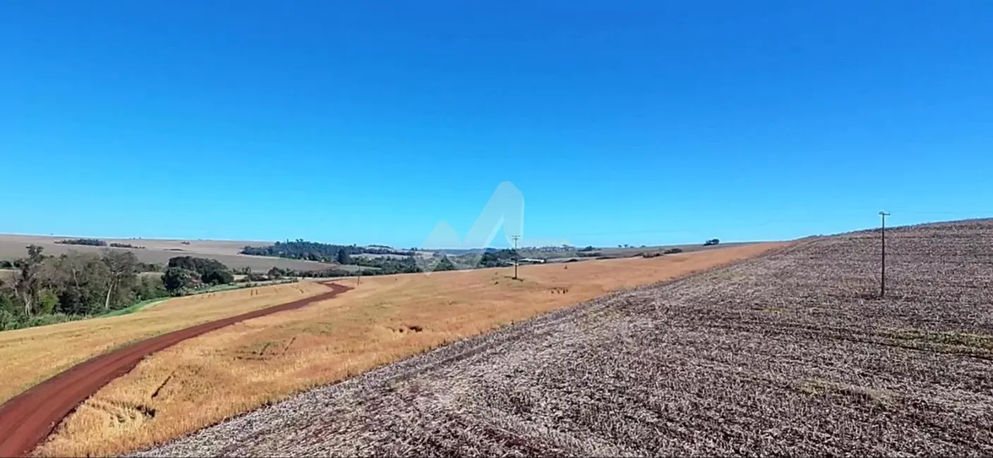 Chácara à venda, 63920m2 em Toledo - PR - imagem 4 Foto 4 de Chácara à venda, 63920m2 em Toledo - PR