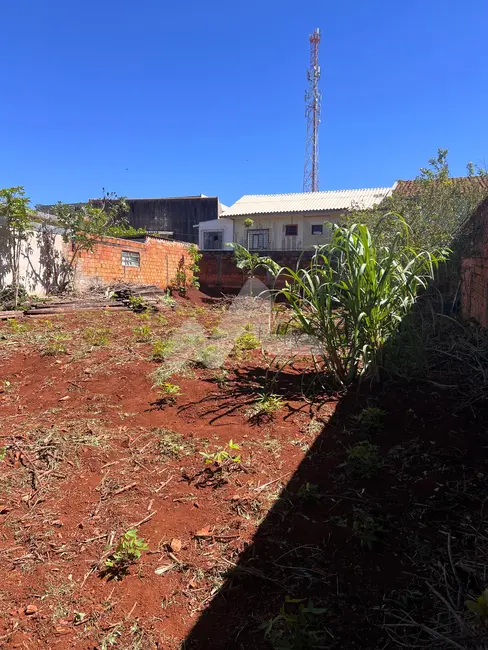 Foto 2 de Terreno / Lote à venda, 294m2 em Centro, Toledo - PR