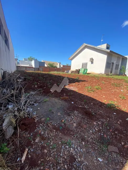 Terreno / Lote à venda, 250m2 em Jardim Coopagro, Toledo - PR - imagem 4 Foto 4 de Terreno / Lote à venda, 250m2 em Jardim Coopagro, Toledo - PR