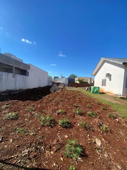 Terreno / Lote à venda, 250m2 em Jardim Coopagro, Toledo - PR - imagem 6 Foto 6 de Terreno / Lote à venda, 250m2 em Jardim Coopagro, Toledo - PR