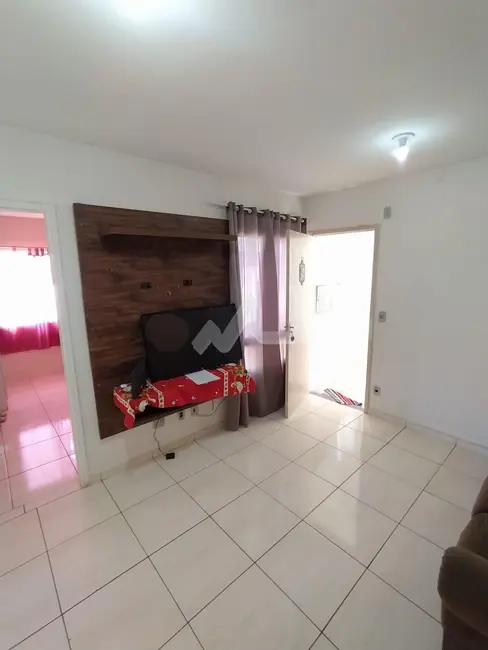 Apartamento com 2 quartos para alugar, 53m2 em São Francisco, Toledo - PR - imagem 3 Foto 3 de Apartamento com 2 quartos para alugar, 53m2 em São Francisco, Toledo - PR