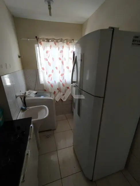 Apartamento com 2 quartos para alugar, 53m2 em São Francisco, Toledo - PR - imagem 7 Foto 7 de Apartamento com 2 quartos para alugar, 53m2 em São Francisco, Toledo - PR