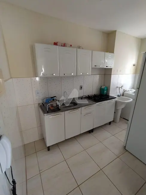 Apartamento com 2 quartos para alugar, 53m2 em São Francisco, Toledo - PR - imagem 6 Foto 6 de Apartamento com 2 quartos para alugar, 53m2 em São Francisco, Toledo - PR