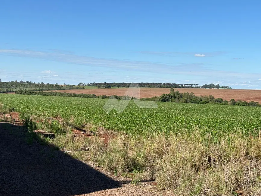 Foto 1 de Chácara à venda em Toledo - PR