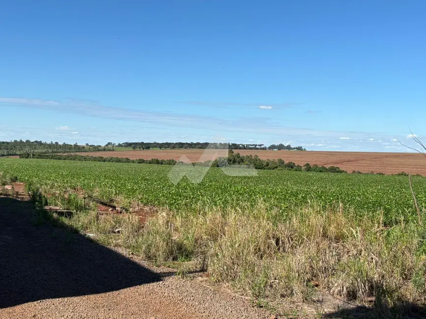 Foto 2 de Chácara à venda em Toledo - PR