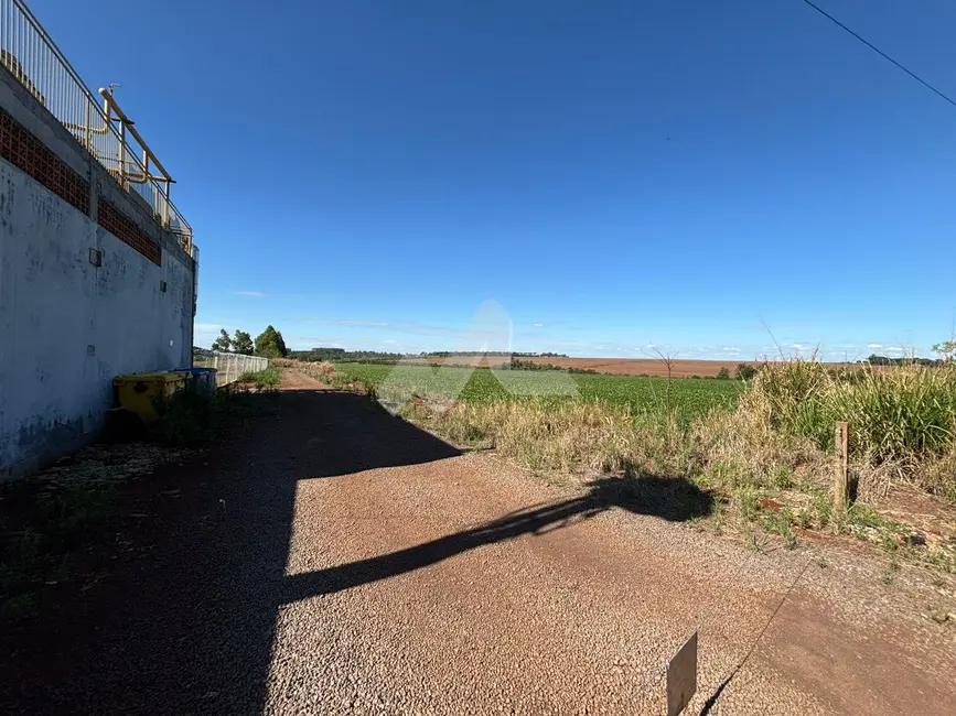 Foto 6 de Chácara à venda em Toledo - PR