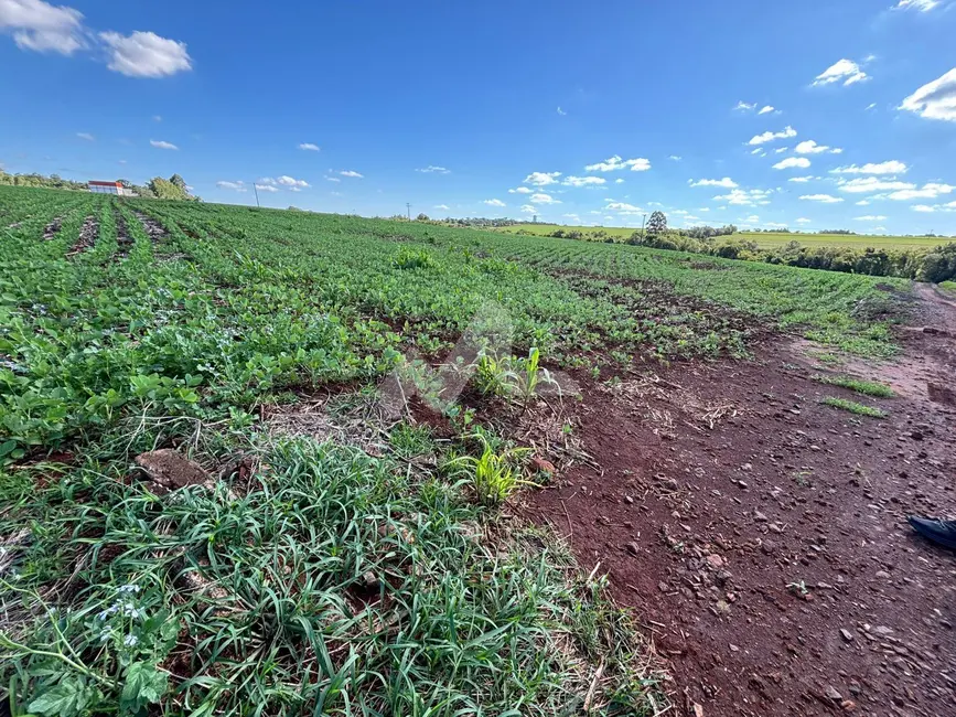 Foto 9 de Chácara à venda em Toledo - PR