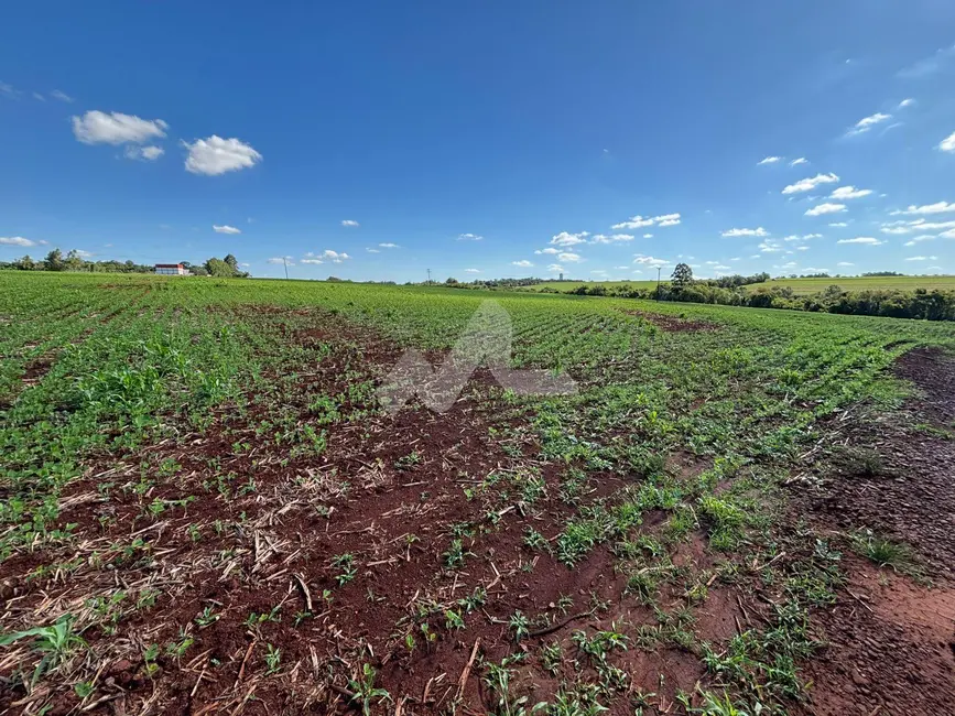 Foto 3 de Chácara à venda em Toledo - PR