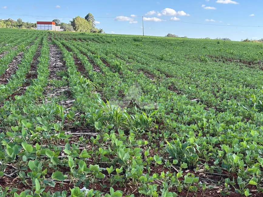 Foto 7 de Chácara à venda em Toledo - PR