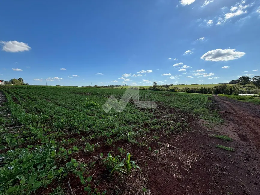 Foto 5 de Chácara à venda em Toledo - PR