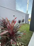 Imagem 5