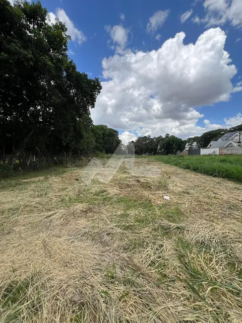 Foto 4 de Terreno / Lote à venda, 466m2 em Vila Industrial, Toledo - PR