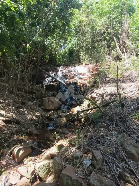 Foto 5 de Chácara à venda em Ouro Verde Do Oeste - PR