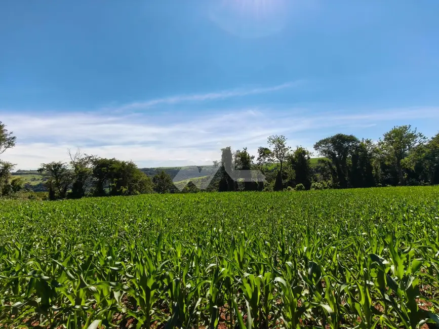 Foto 3 de Chácara à venda em Ouro Verde Do Oeste - PR