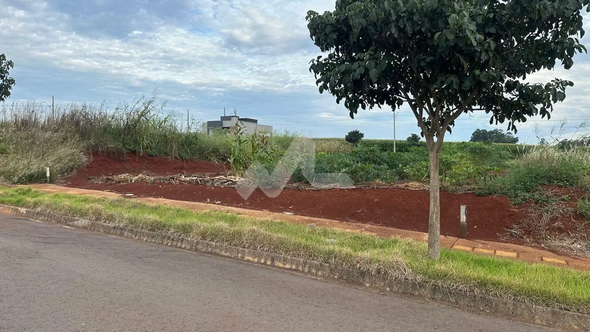 Foto 6 de Terreno / Lote à venda, 360m2 em Toledo - PR