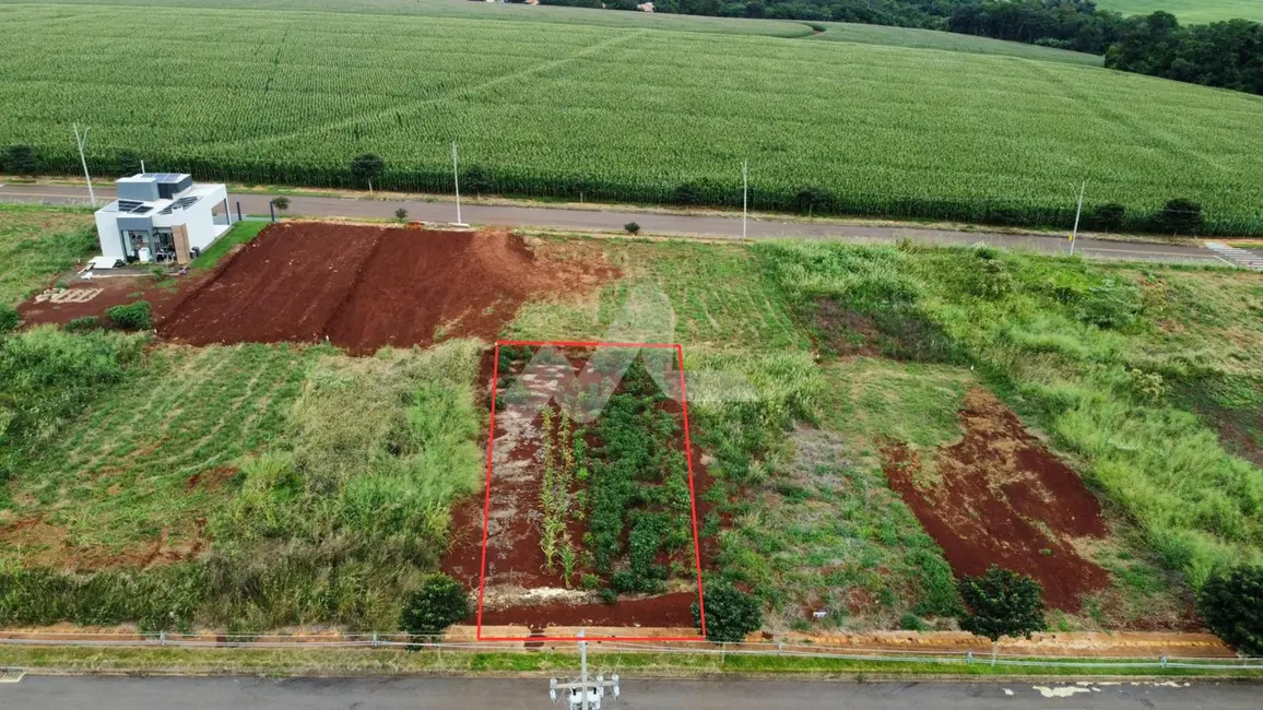 Foto 4 de Terreno / Lote à venda, 360m2 em Toledo - PR