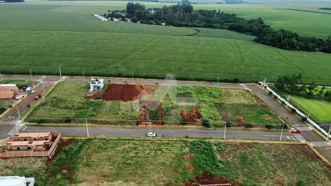 Foto 5 de Terreno / Lote à venda, 360m2 em Toledo - PR