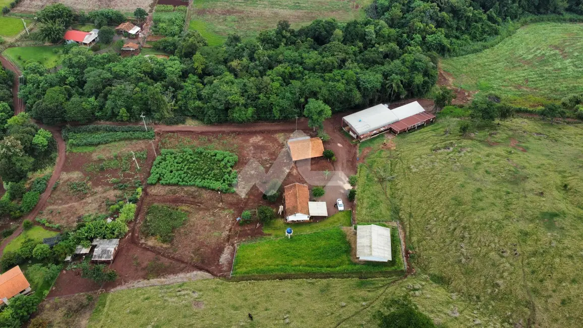 Chácara à venda, 40000m2 em Toledo - PR - imagem 5 Foto 5 de Chácara à venda, 40000m2 em Toledo - PR