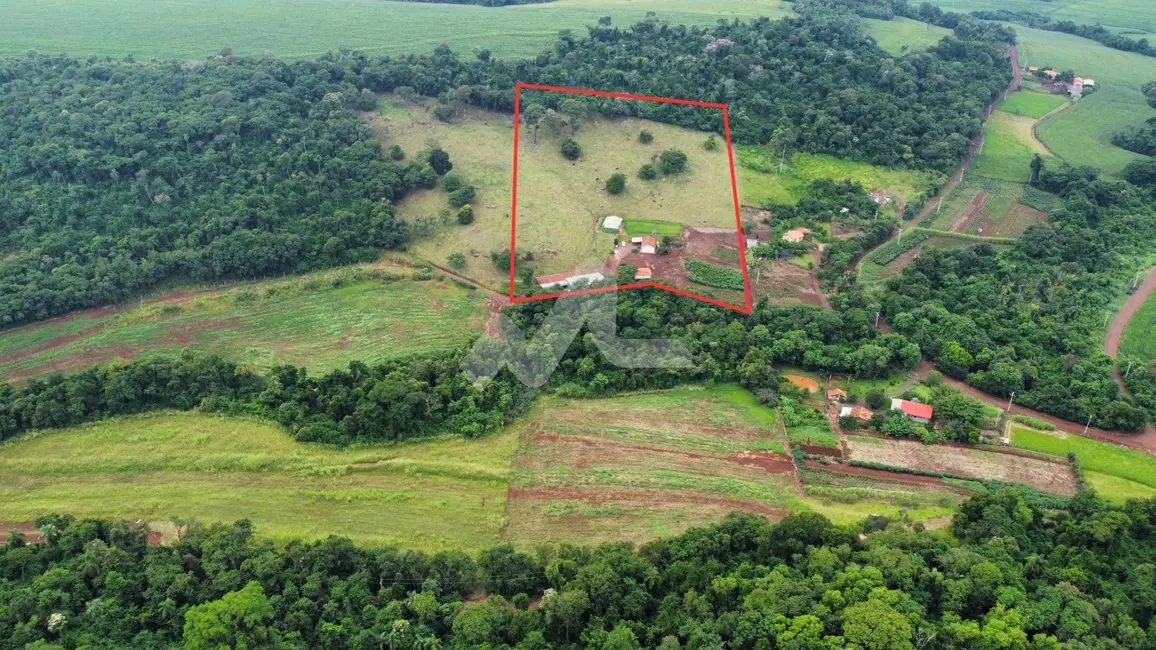Chácara à venda, 40000m2 em Toledo - PR - imagem 3 Foto 3 de Chácara à venda, 40000m2 em Toledo - PR