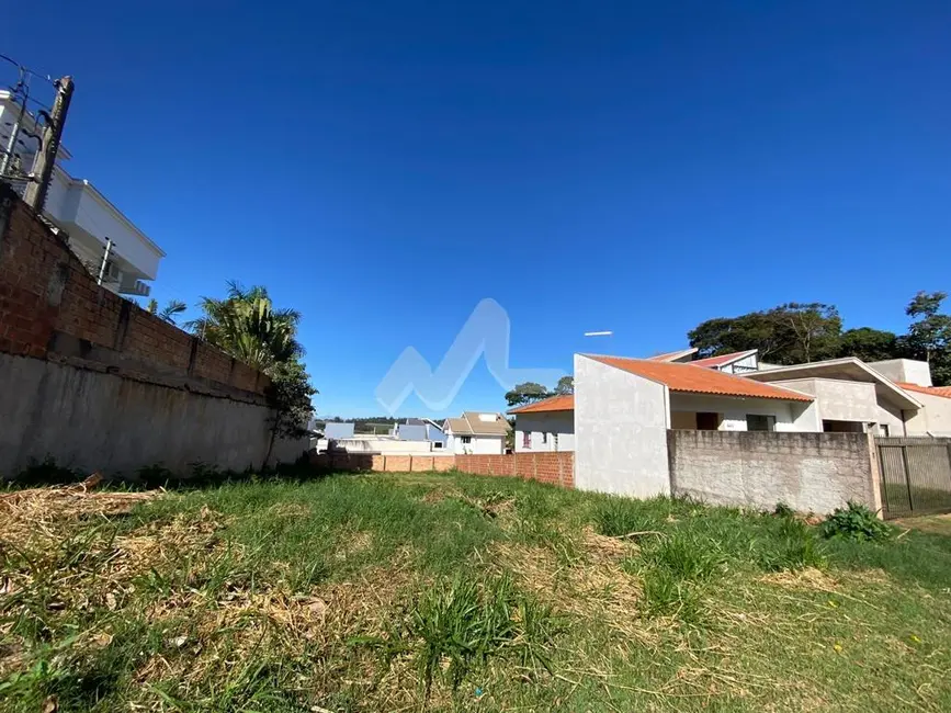 Foto 2 de Terreno / Lote à venda em Jardim Pancera, Toledo - PR