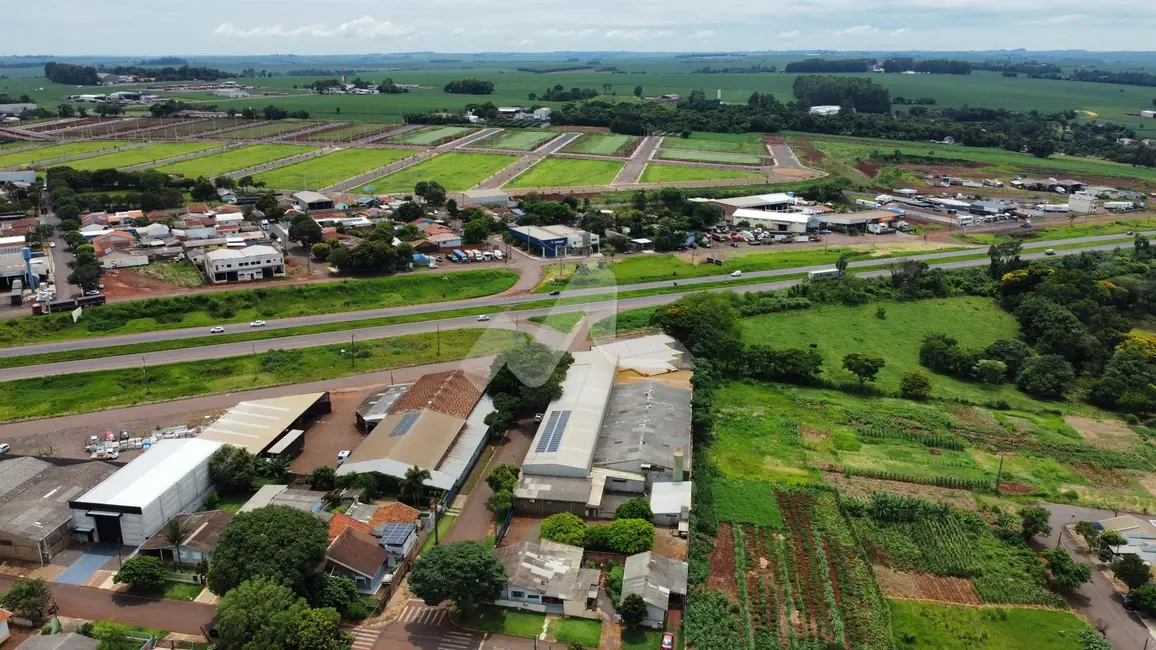 Armazém / Galpão para alugar, 440m2 em Jardim Concórdia, Toledo - PR - imagem 3 Foto 3 de Armazém / Galpão para alugar, 440m2 em Jardim Concórdia, Toledo - PR